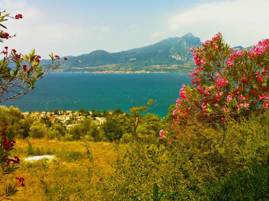 Blick über Torri del Benaco auf den Gardasee