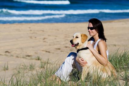Urlaub mit Hund - © Martin Valigursky - Fotolia.com