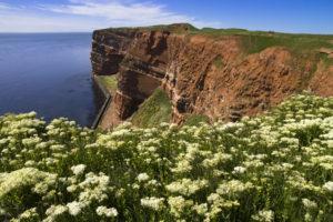 Nordsee-Insel Helgoland