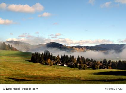 Naturpark Südschwarzwald