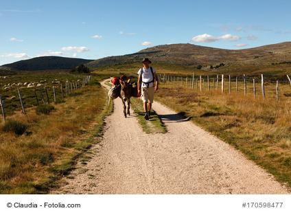 Eselwanderung