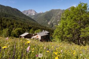 Ecovillaggio Sagna Rotonda, Piemont