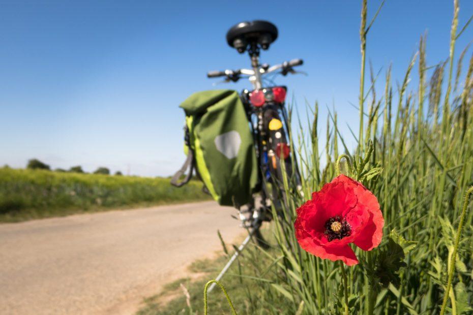 Radreisen, Radwandern und Radtouren
