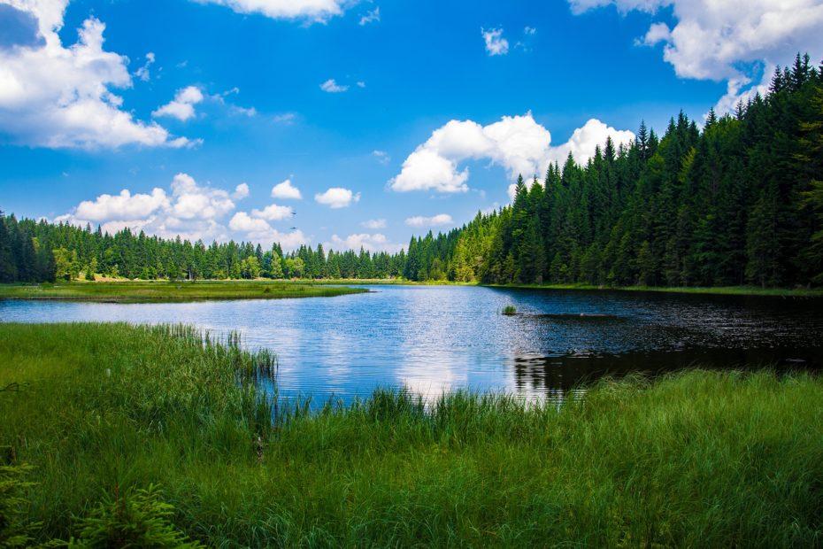 Bayrischer Wald, Alpsee
