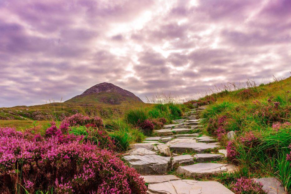 Irland, Connemara-Nationalpark