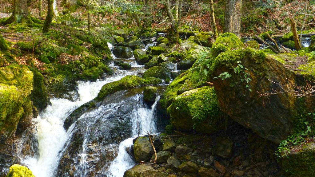 Die wilde Ravenna-Schlucht im Schwarzwald mit Wasserfällen