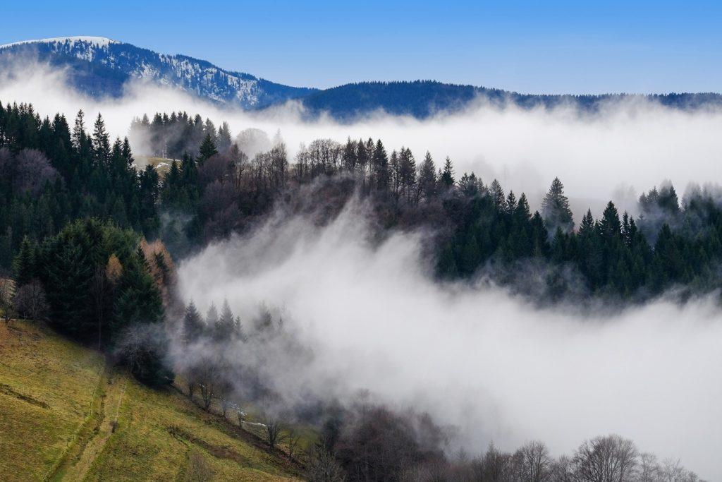 Mystische Stimmung im Schwarzwald