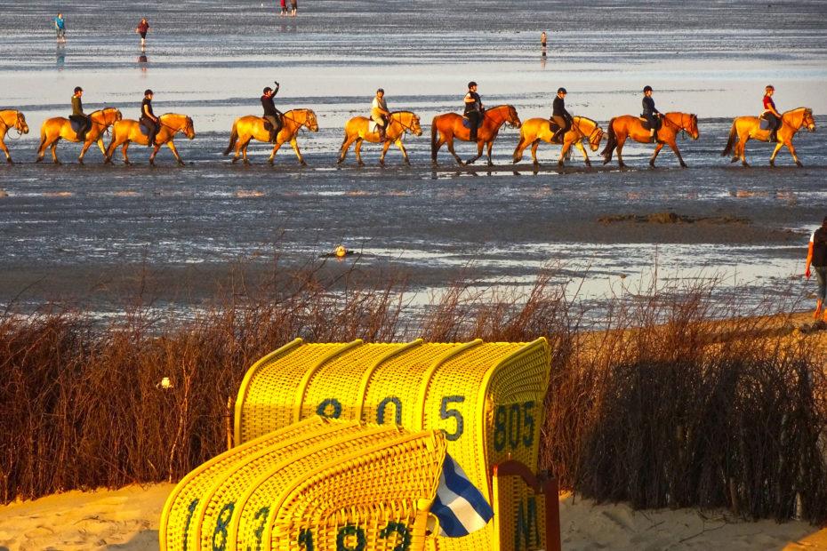 Reiten im Watt bei Cuxhaven