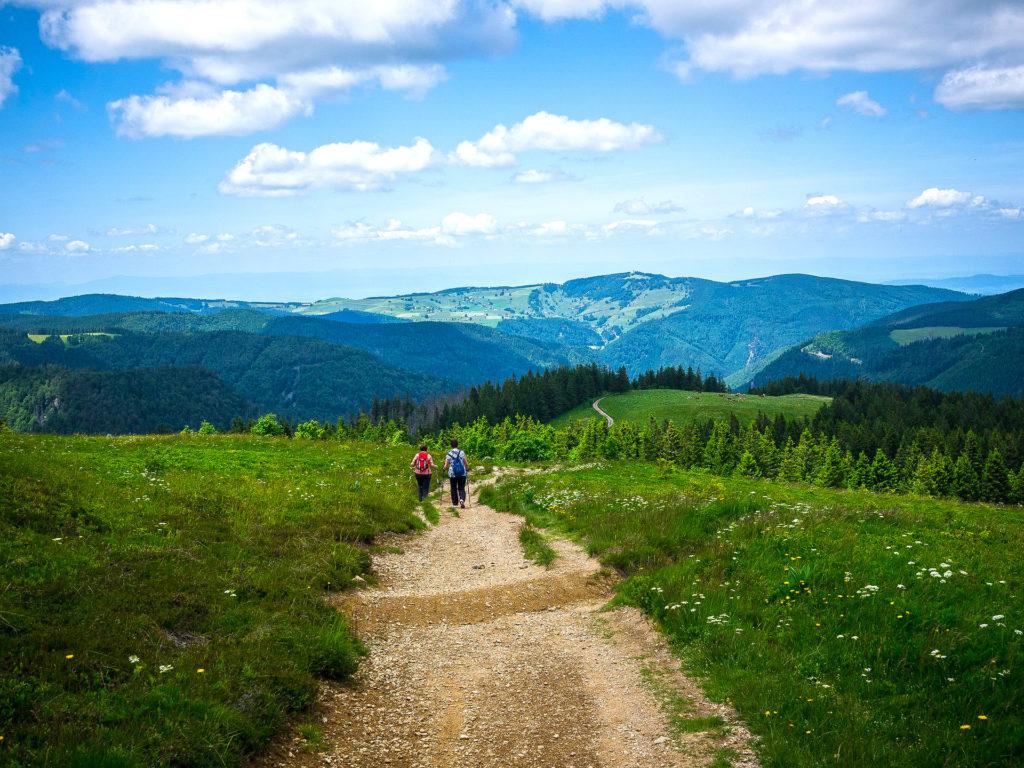 Wandern am Feldberg im Schwarzwald