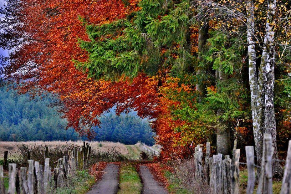 Wandern in Luxemburg